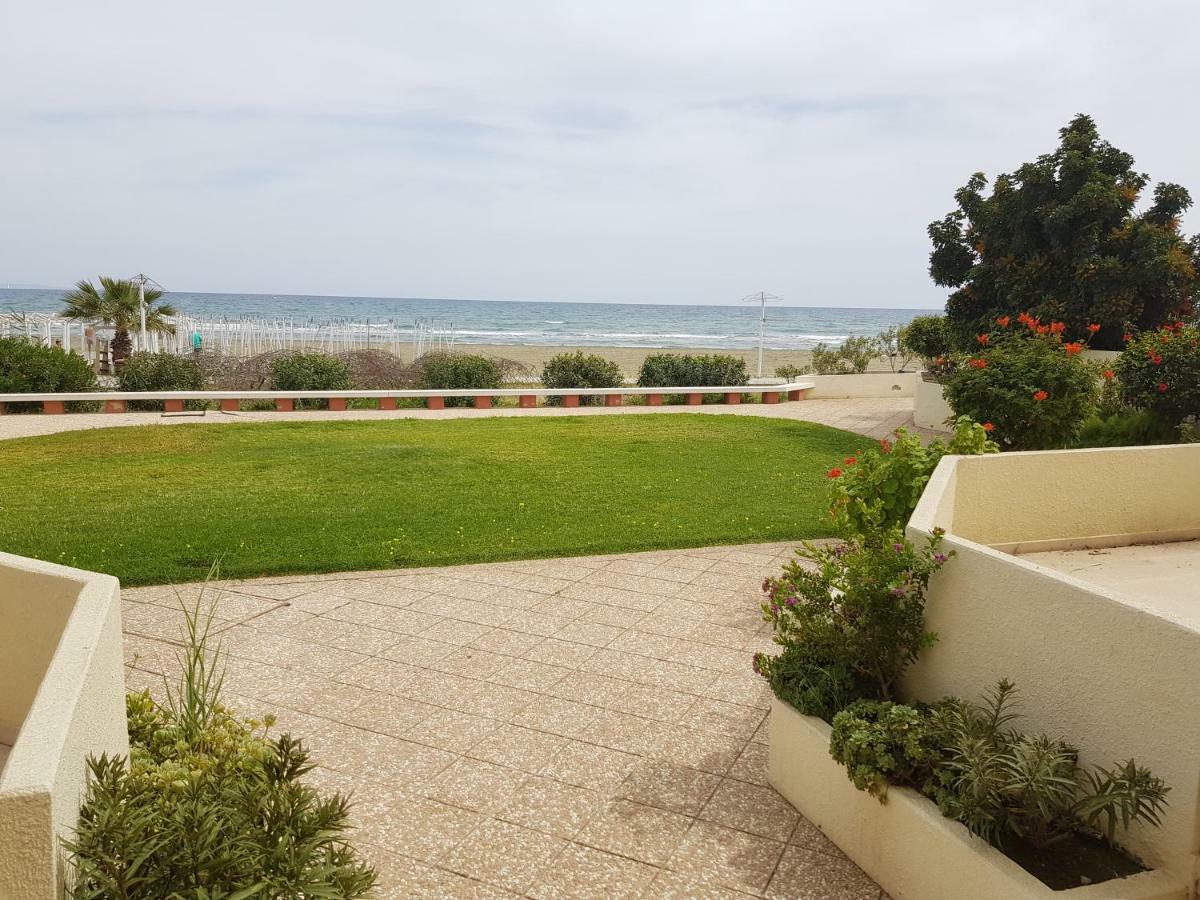 Haig'S Dream Flat On The Beach Larnaca Eksteriør billede