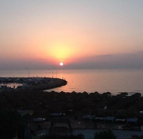 Haig'S Dream Flat On The Beach Larnaca Eksteriør billede