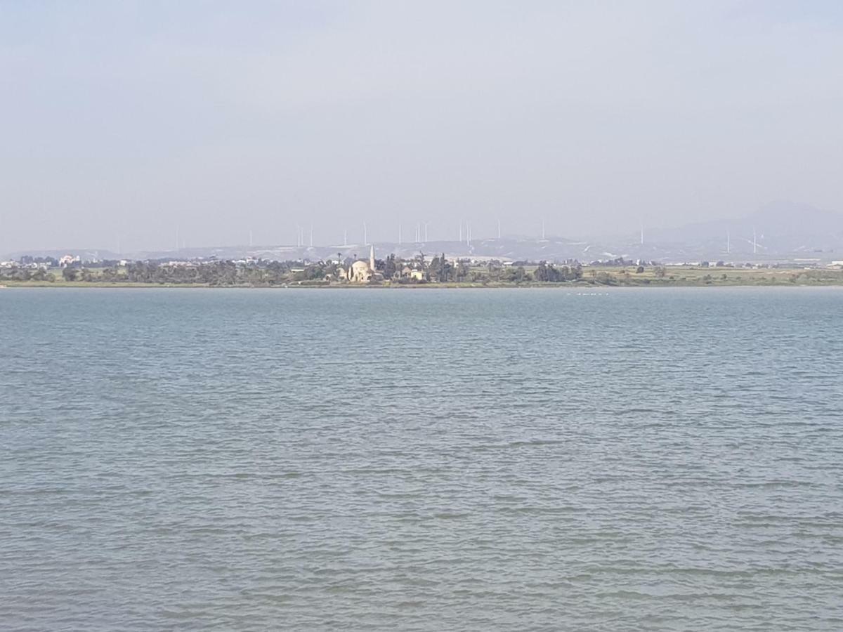 Haig'S Dream Flat On The Beach Larnaca Eksteriør billede